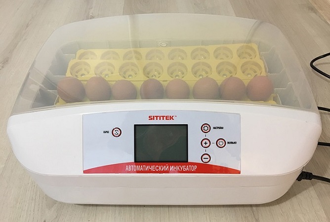 "SITITEK 32" — портативный автоматический инкубатор для выведения цыплят и других видов птицы