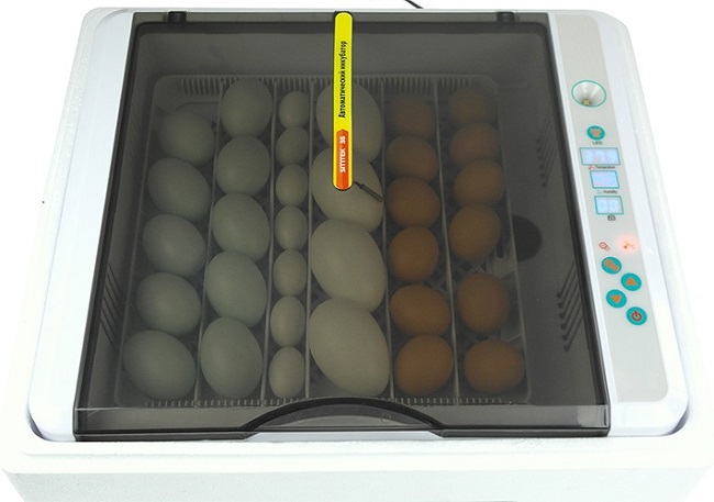 Автоматический инкубатор для яиц SITITEK 36