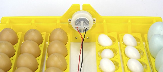 Инкубатор для яиц SITITEK 96 цифровой автоматический