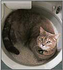 В CatGenie 120 используются моющиеся гранулы, похожие на наполнитель, чтобы коту было удобно копать и закапывать