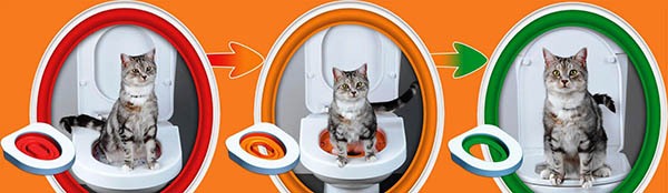 Трехэтапный процесс  приучения кошек к туалету Litter Kwitter
