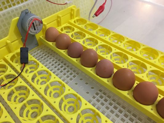 Прибор  рассчитан на 96 куриных яиц