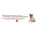 Электронный ошейник (антилай) DogTrace D-Mute Small для дрессировки небольших и средних пород собак