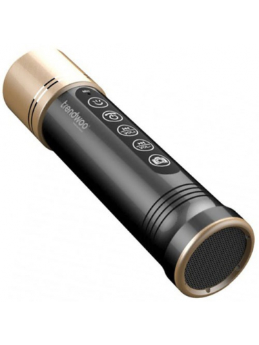 Портативная Bluetooth-колонка Trendwoo Freeman X6 (золотистая)
