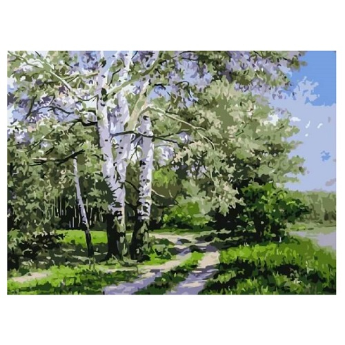 Картина по номерам "Березы у дороги" размер: 30x40 (арт. EX5352)