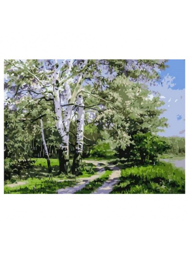Картина по номерам Березы у дороги размер: 30x40 (арт. EX5352)