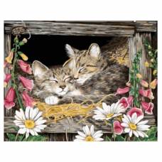 Картина по номерам "Котята в гнезде" размер 40x50 (арт. GX5606)