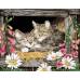Картина по номерам Котята в гнезде размер 40x50 (арт. GX5606)