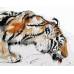 Картина по номерам Тигр на водопое размер 30x40 (арт. ME1067)