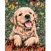Картина по номерам Веселый щенок размер 40x50 (арт. GX5607)