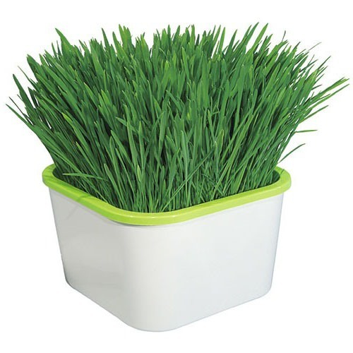 Проращиватель "Здоровья Клад" (для зеленой травки)