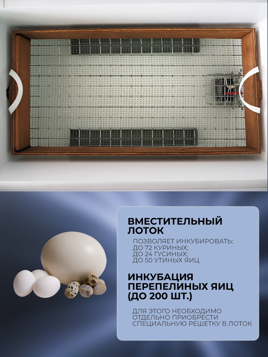 Инкубатор автоматический НОРМА 72 С8