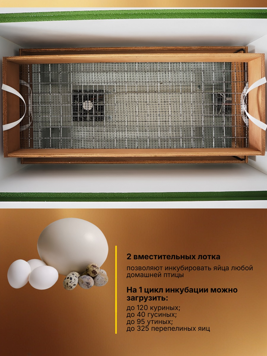 Инкубатор автоматический НОРМА 120 С8