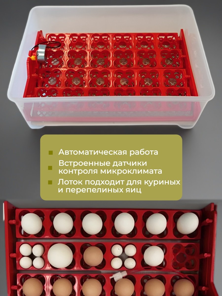 Инкубатор для яиц WQ-24