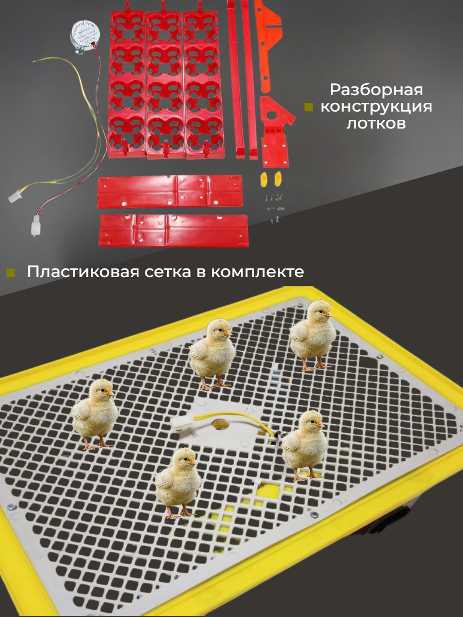 Инкубатор для яиц WQ-24