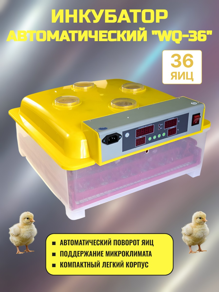 Инкубатор для яиц WQ-36