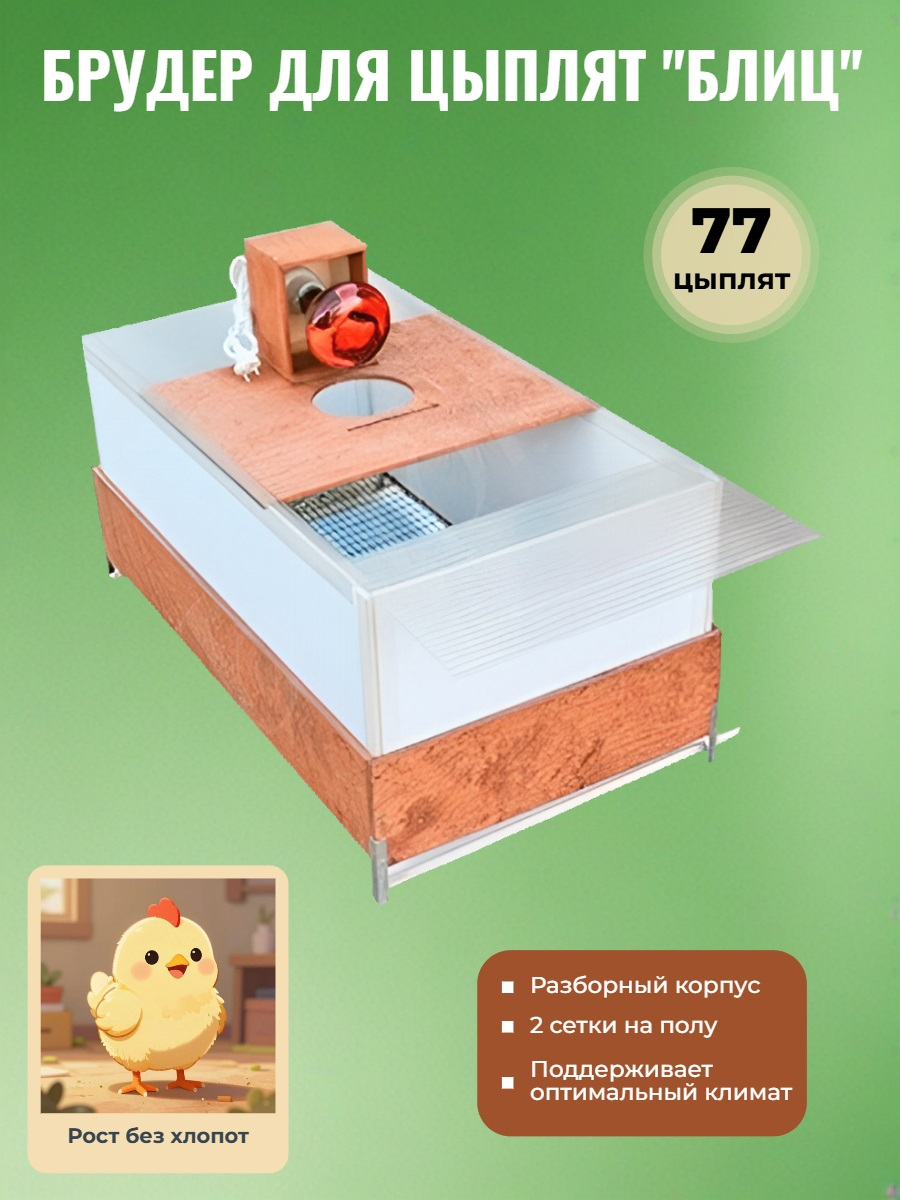 Брудер для цыплят Блиц разборный (77 птенцов)