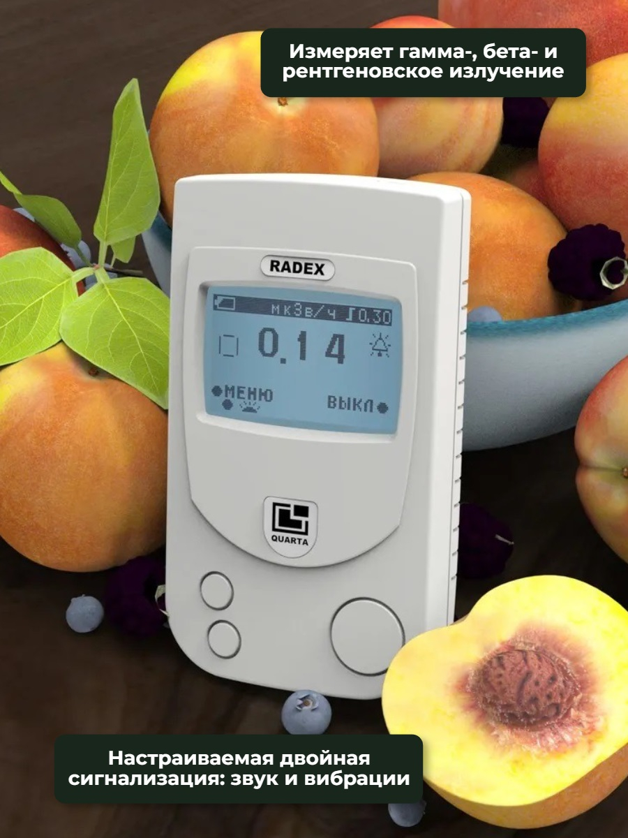Дозиметр RADEX RD1503+