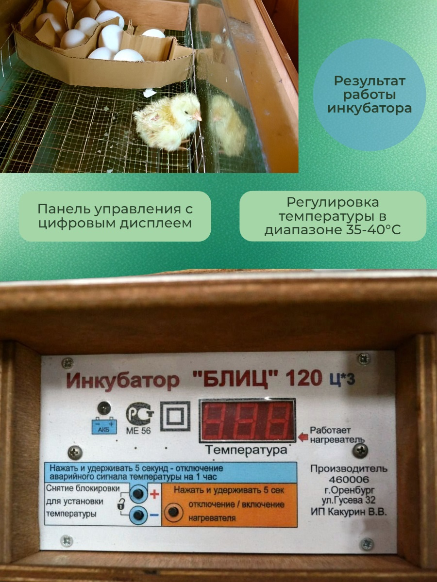 Инкубатор для яиц БЛИЦ-120, цифровой, автоматический переворот, 220В/12В (120 яиц)