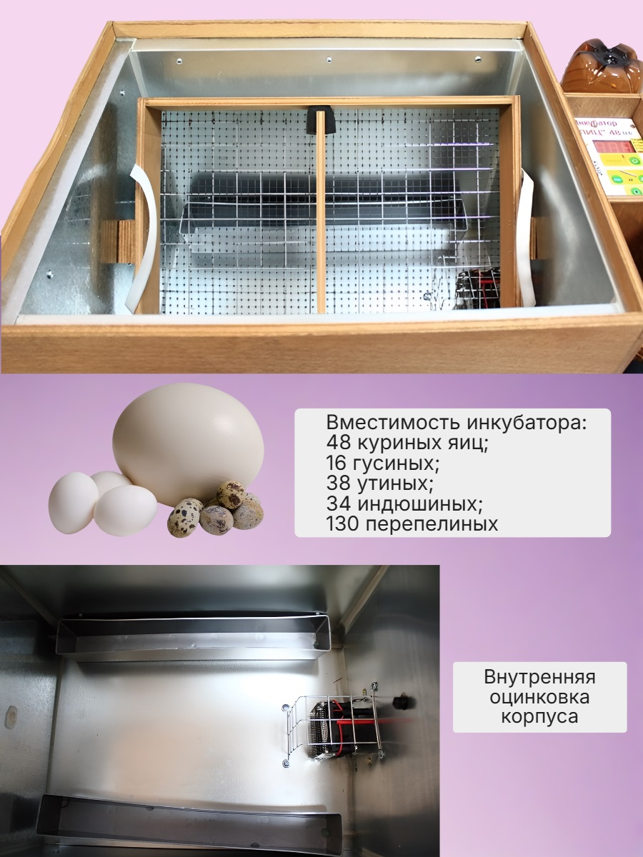 Инкубатор для яиц БЛИЦ-48, цифровой, автоматический переворот, 220В/12В (48 яиц)