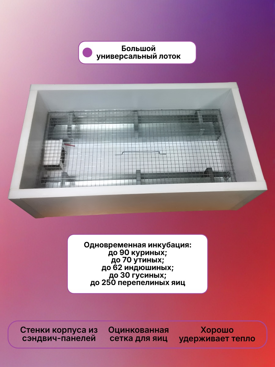 Инкубатор выводной Норма СЕЗАМ 