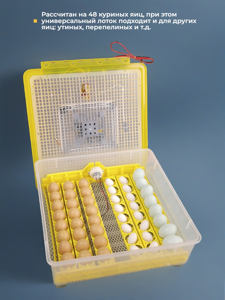 Инкубатор для яиц SITITEK 48 цифровой, автоматический переворот, 220В (48 яиц)