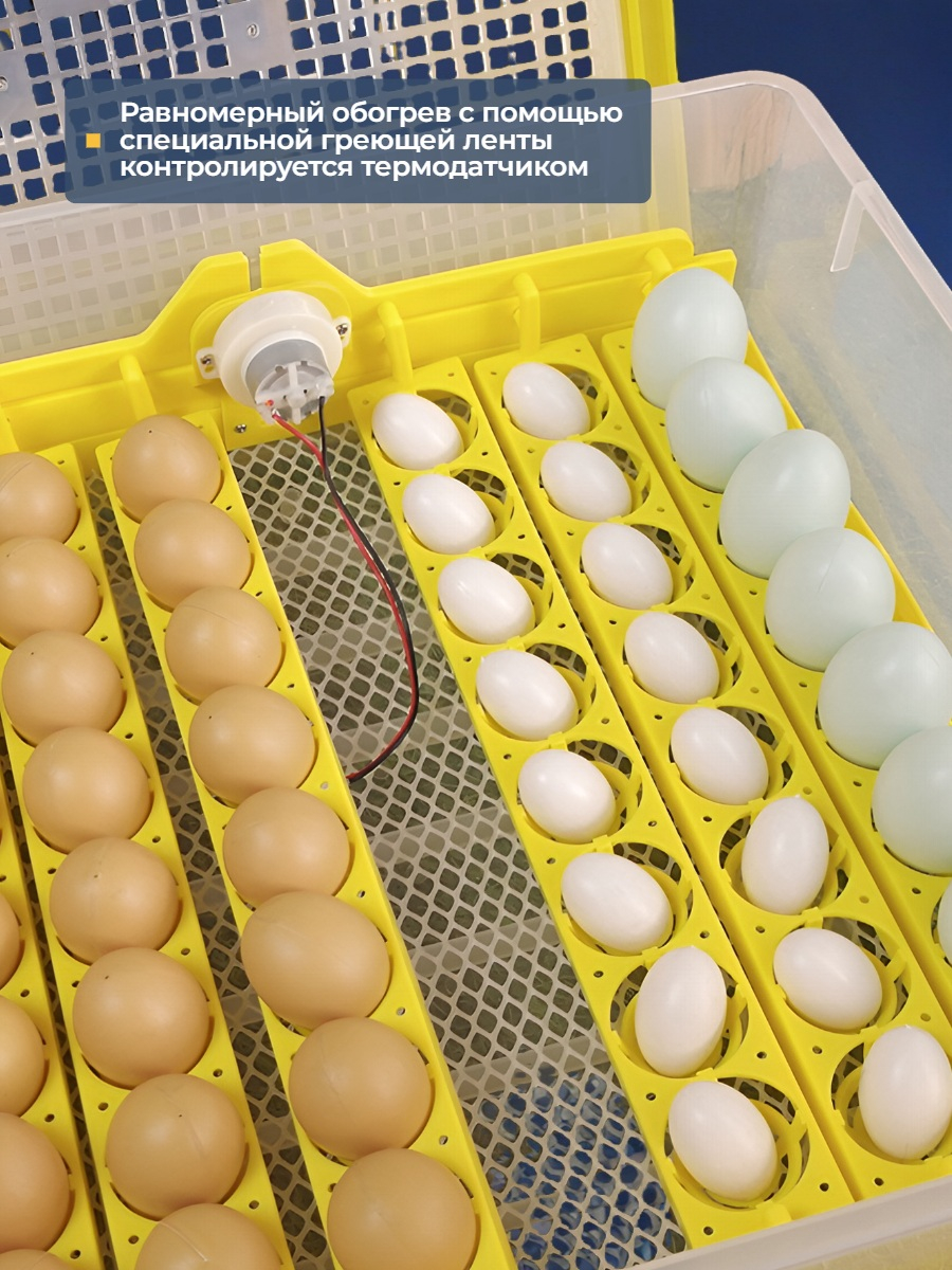 Инкубатор для яиц SITITEK 48 цифровой, автоматический переворот, 220В (48 яиц)