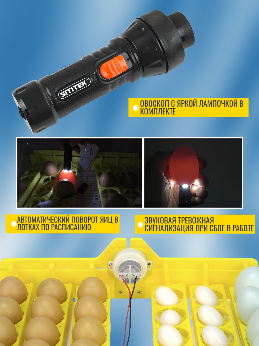 Инкубатор для яиц SITITEK 96 цифровой, автоматический переворот, 220В (96 яиц)