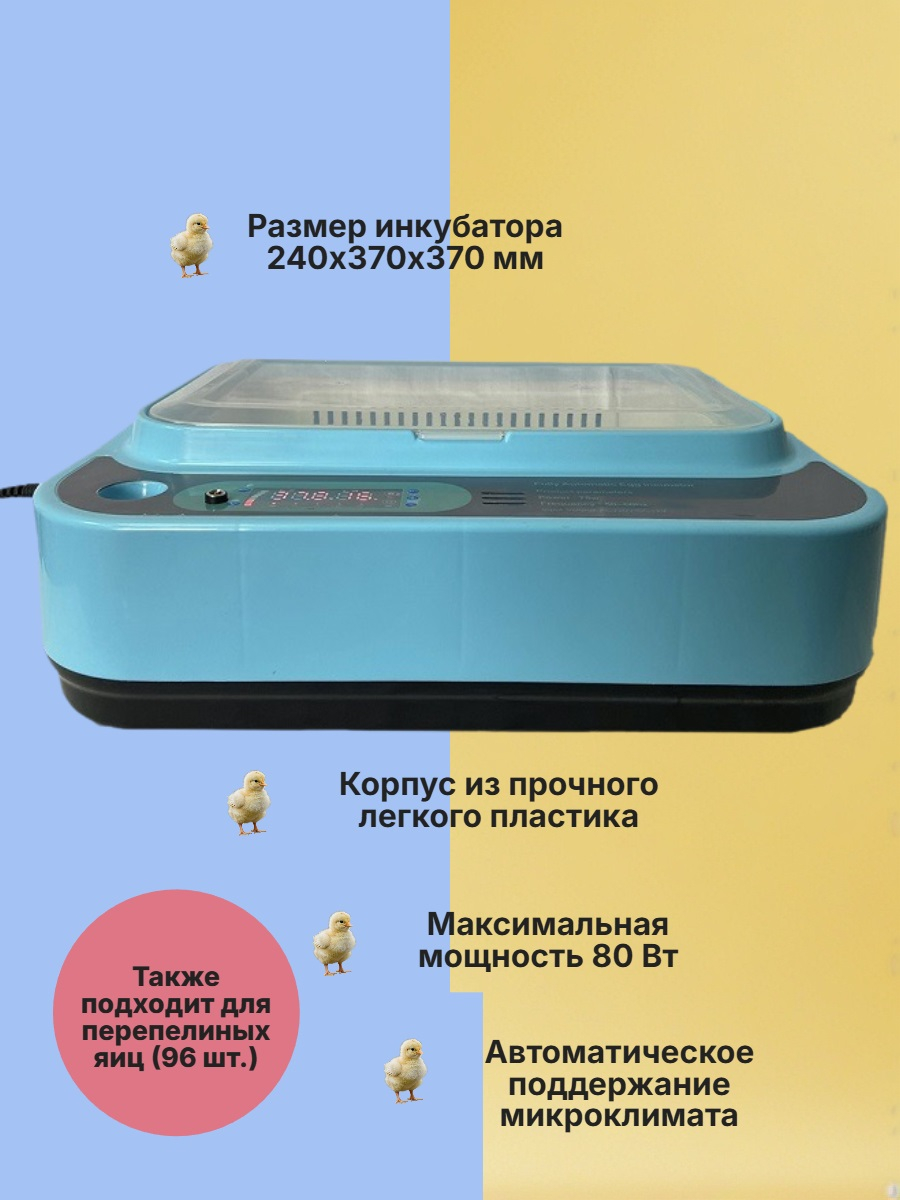 Инкубатор автоматический WQ-24-1 (12V и 220V)