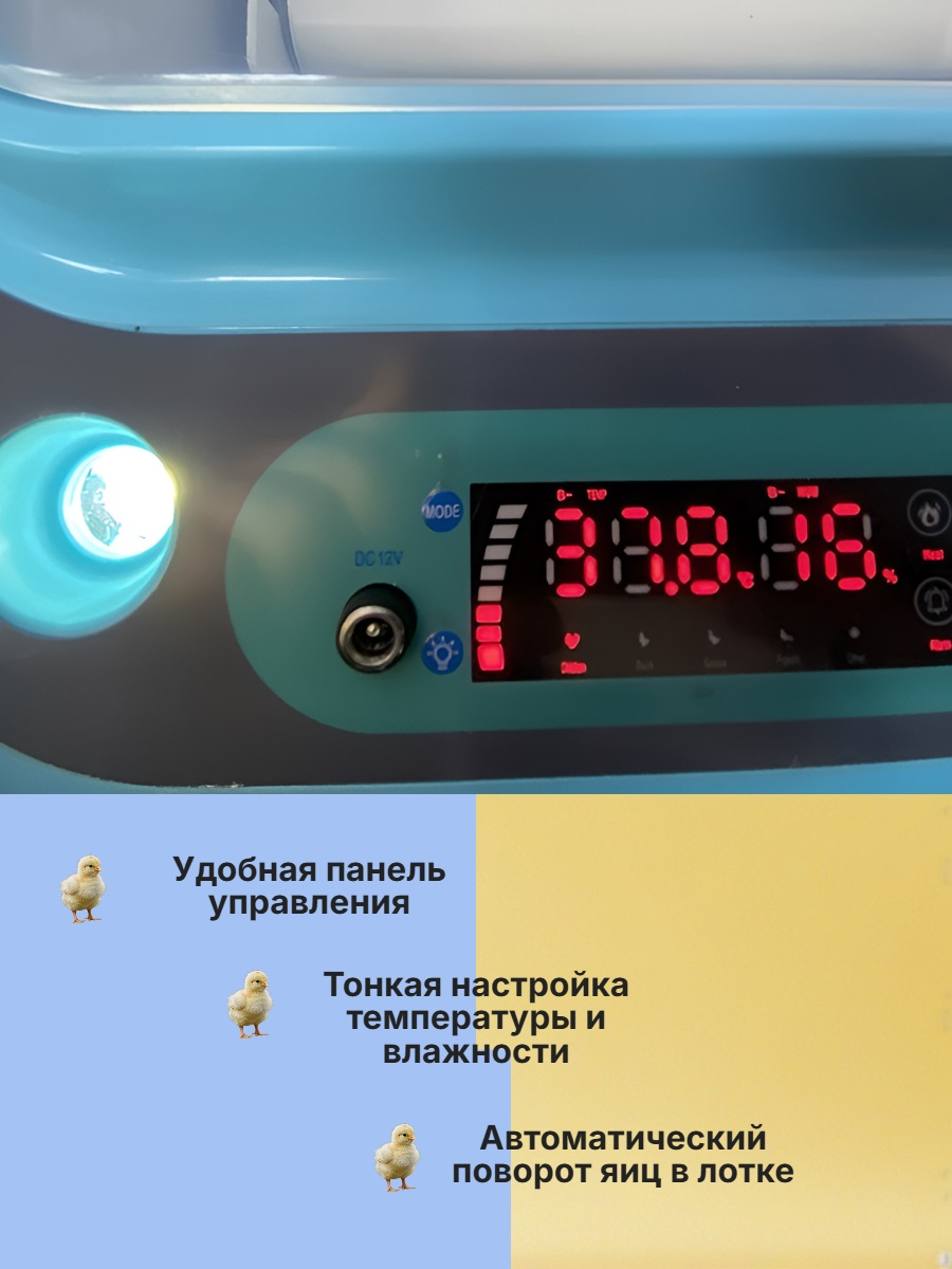 Инкубатор автоматический WQ-24-1 (12V и 220V)