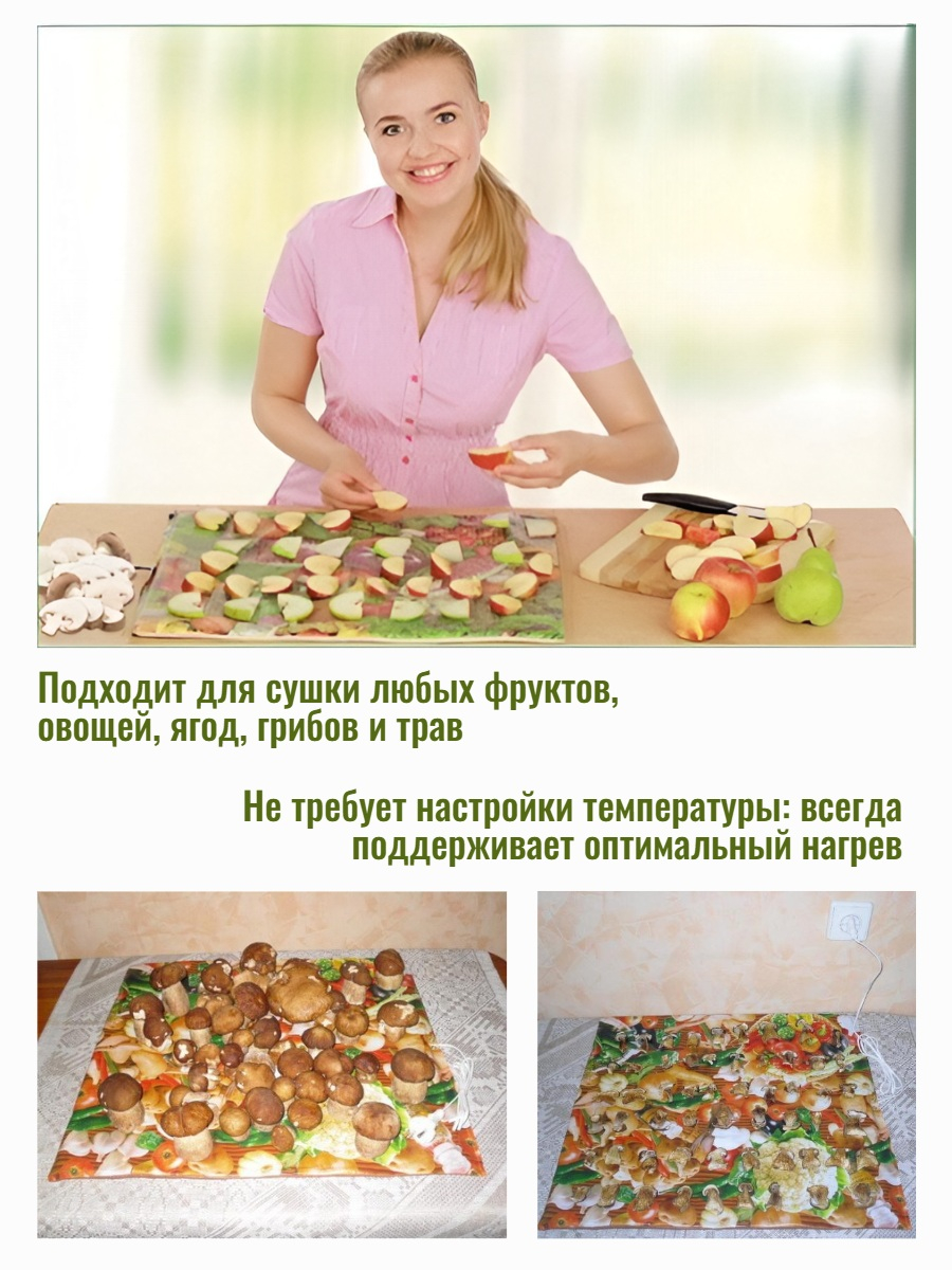 Сушилка для фруктов, овощей, ягод, грибов Самобранка (75*50см)