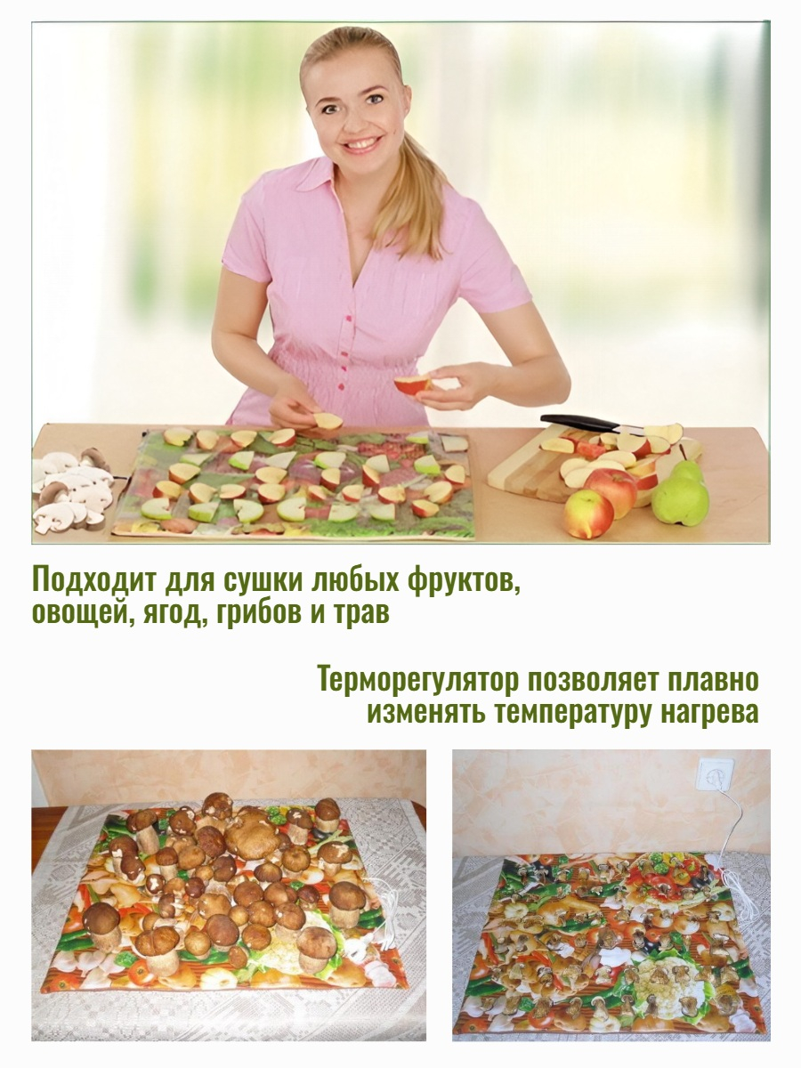 Сушилка для фруктов, овощей, ягод, грибов Самобранка (50*50см с терморегулятором)            