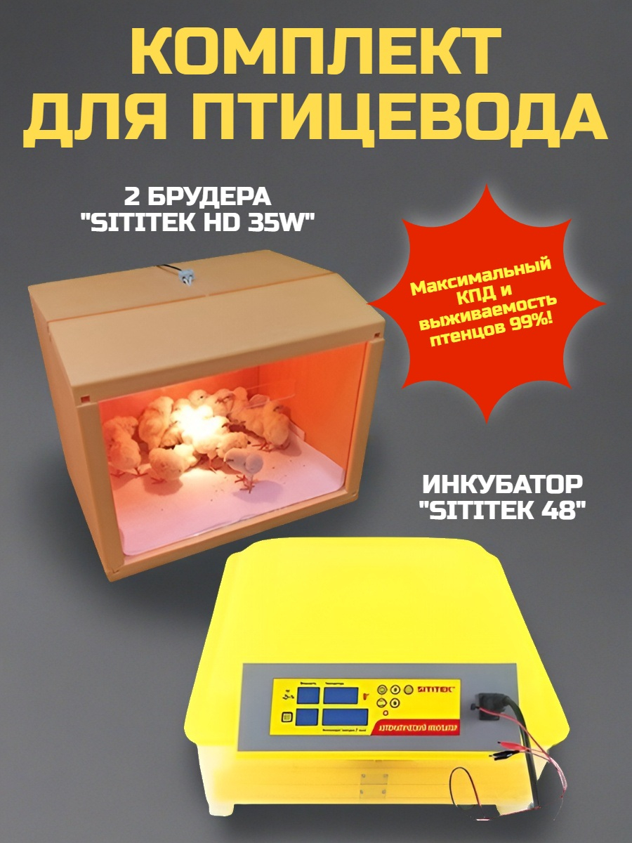 Комплект инкубатор “SITITEK 48” + 2 брудера “SITITEK HD 35W”