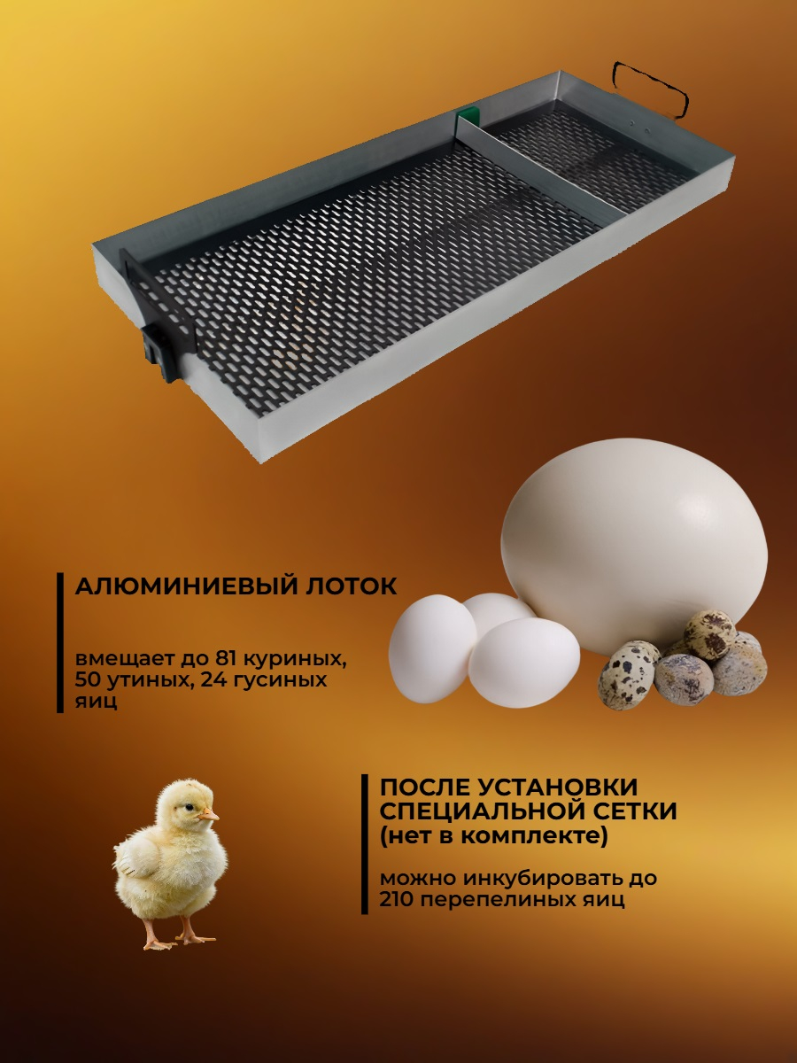 Инкубатор автоматический «Матрица ДЕЛИ» — М (с алюминиевым лотком)