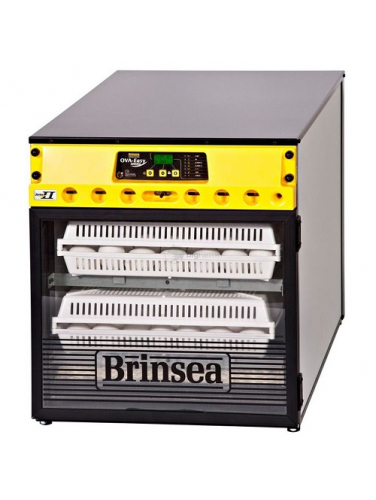 Инкубатор Brinsea Ova-Easy Advance EX ser II 100 автоматический с помпой