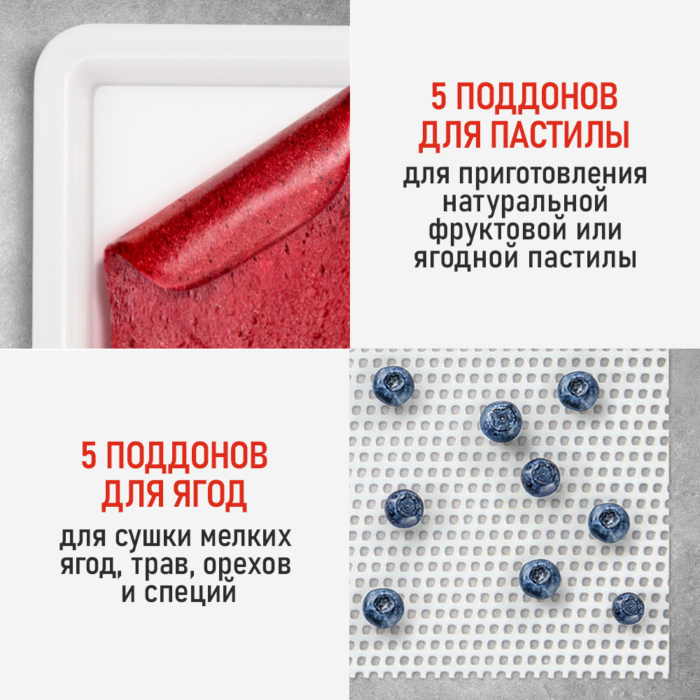 Сушилка для фруктов с WI-FI CHEF PRO CF-FD808A (5 поддонов + 5 для пастилы + 5 для ягод) 15 л, сталь