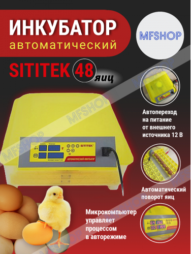 Инкубатор для яиц SITITEK 48 цифровой, автоматический переворот, 220В (48 яиц)
