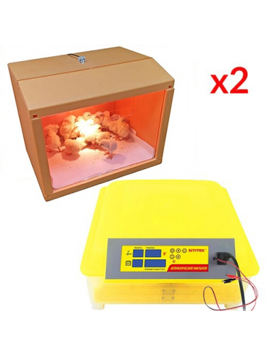 Комплект инкубатор “SITITEK 48” + 2 брудера “SITITEK HD 35W”
