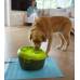 Автопоилка-фонтан для собак Feed-Ex PW-06 DogH2O с функцией гигиены полости рта