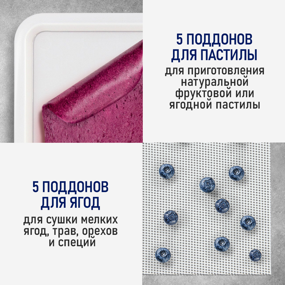 Сушилка для фруктов с WI-FI STINGRAY ST-FD729A (5 поддонов + 5 для пастилы + 5 для ягод) 12 л, сталь