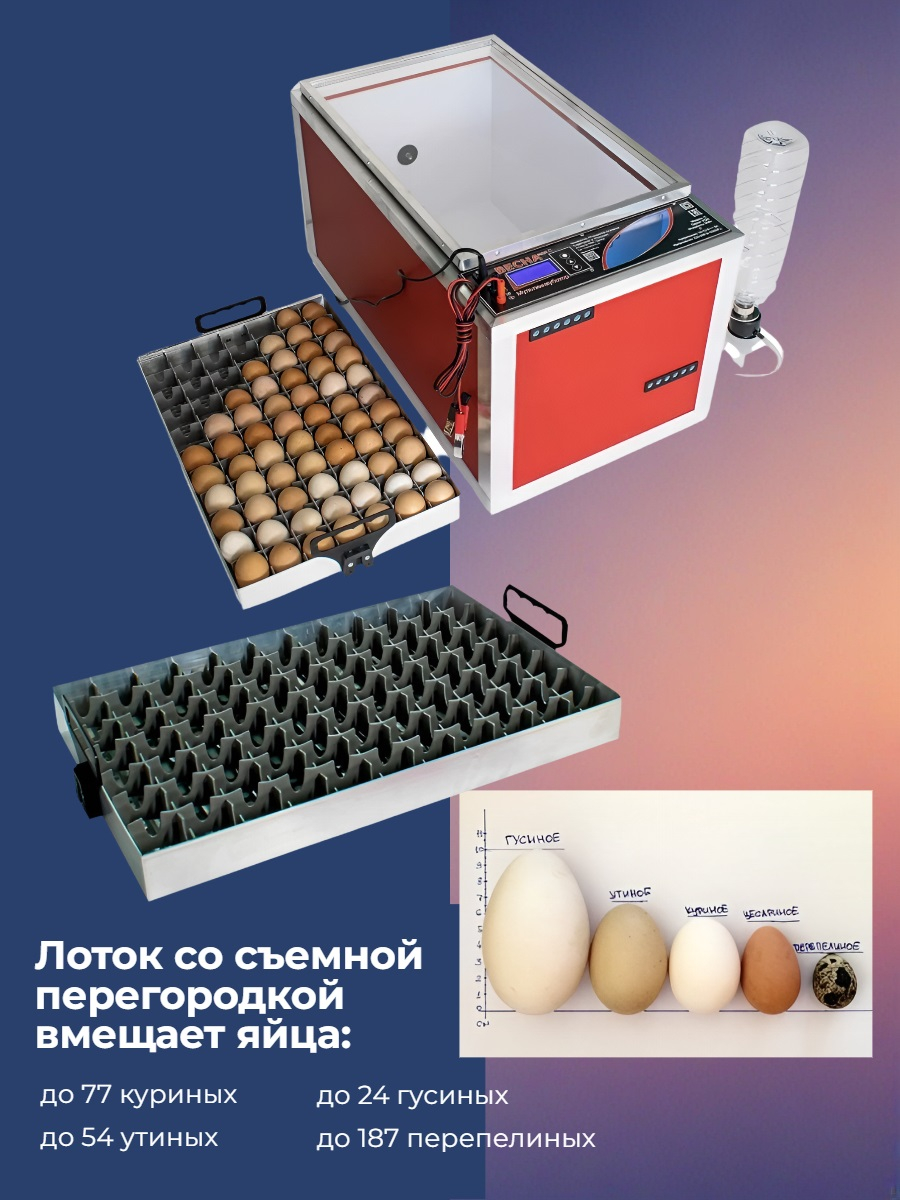 Мульти инкубатор «Весна» автоматический