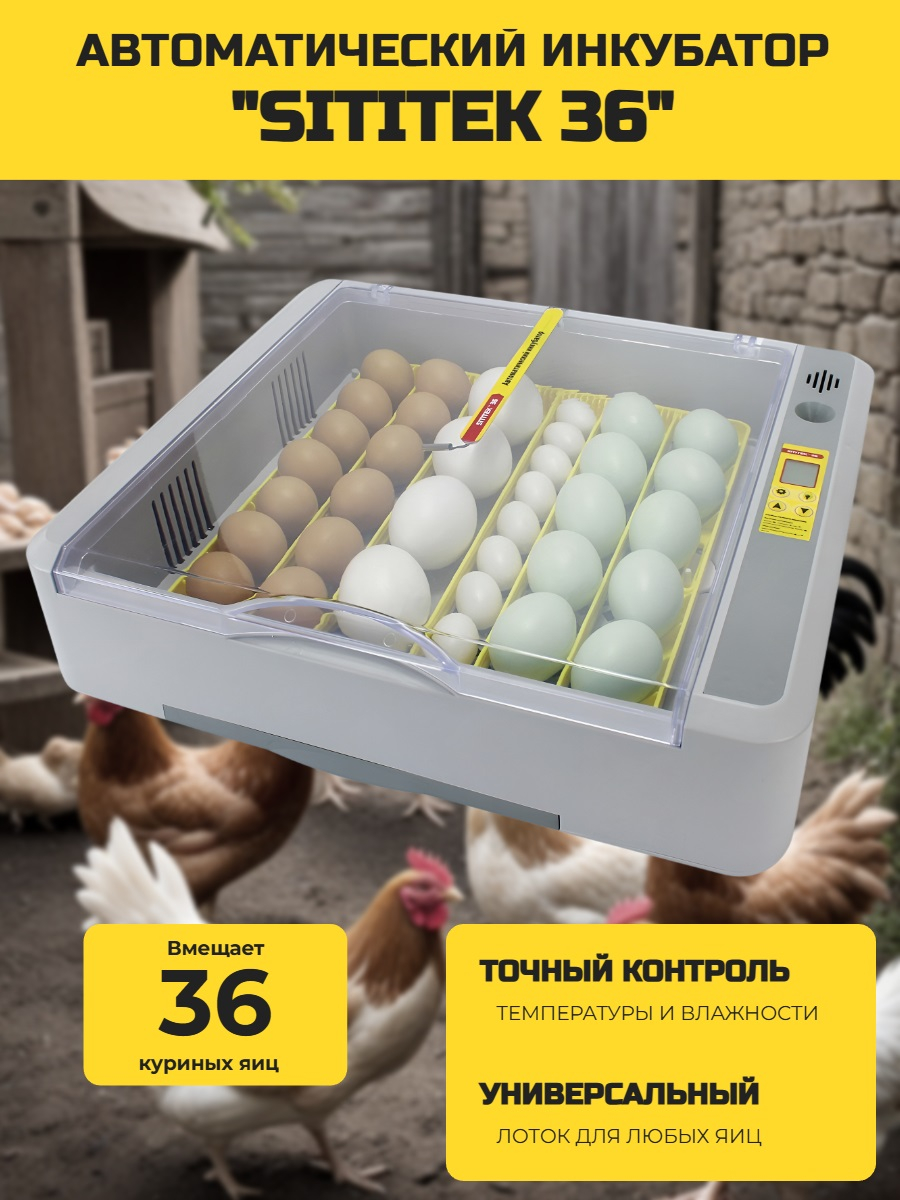 Автоматический инкубатор "SITITEK 36" с универсальными лотками