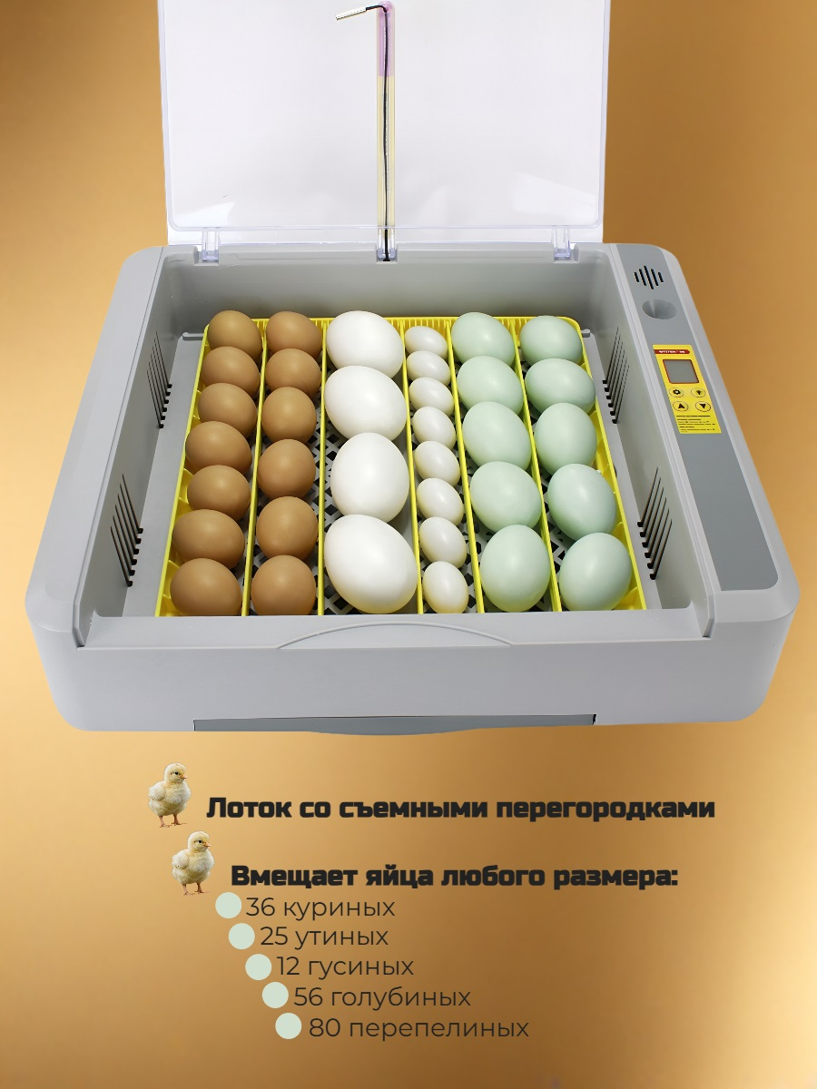 Автоматический инкубатор SITITEK 36 с универсальными лотками