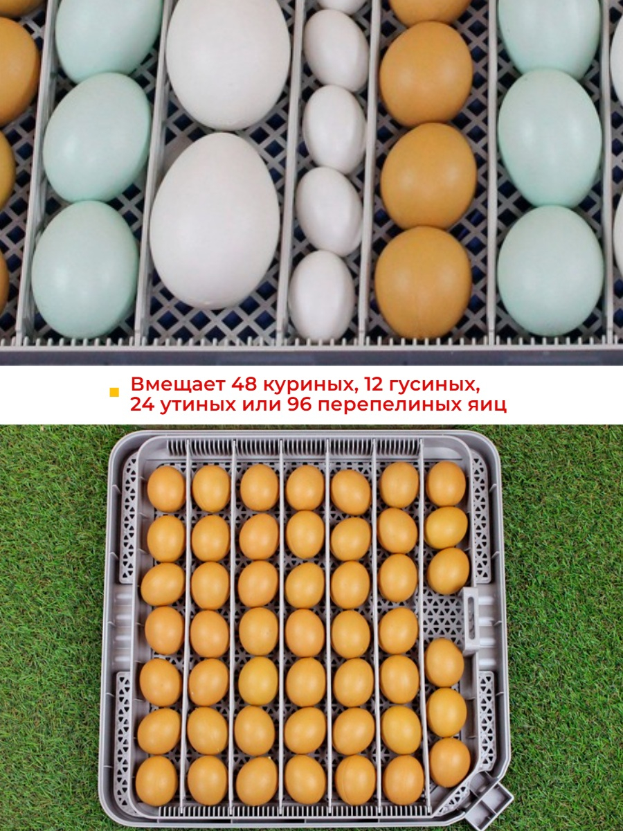 Инкубатор автоматический SITITEK 48 обновленная версия