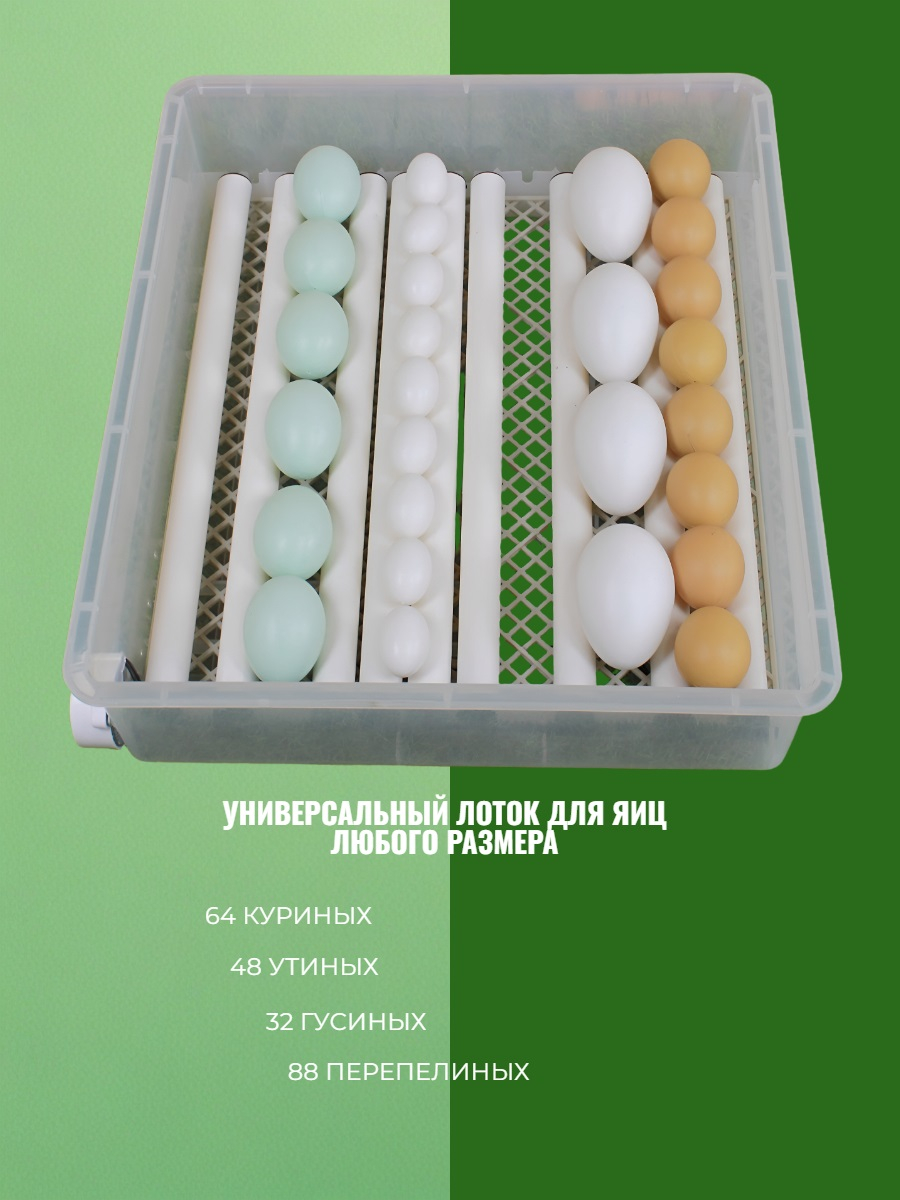 Инкубатор автоматический SITITEK 64