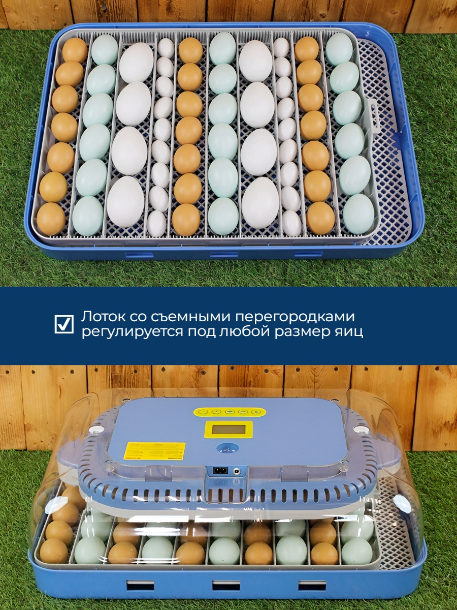 Полностью автоматический инкубатор SITITEK 70