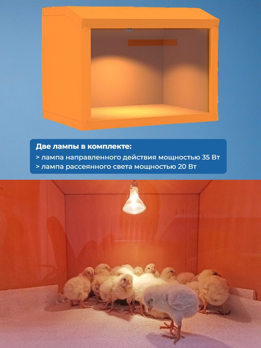 Брудер для цыплят Sititek HD 35W