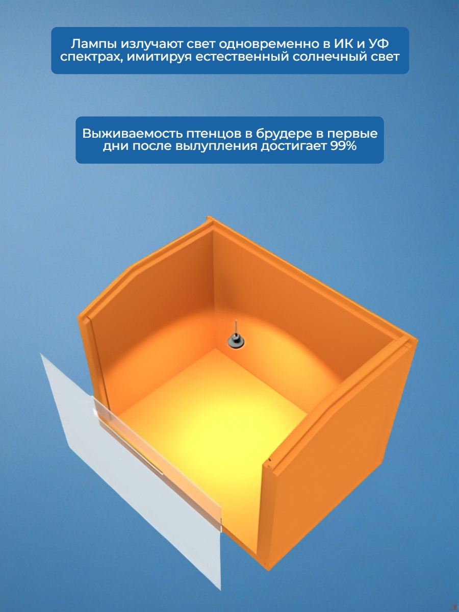 Брудер для цыплят Sititek HD 35W