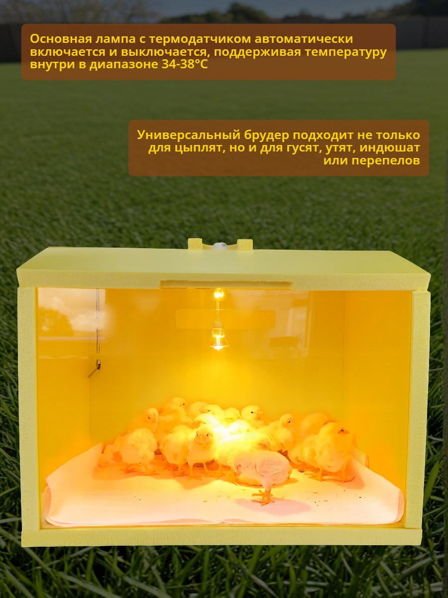 Автоматический брудер для цыплят SITITEK HD 50W Auto