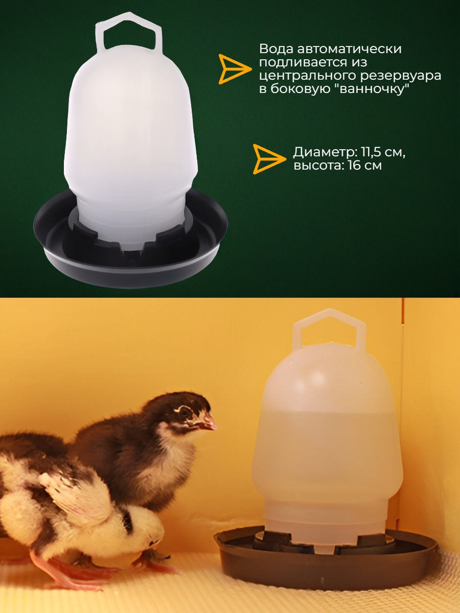 Вакуумная автопоилка для птиц (350 мл) 